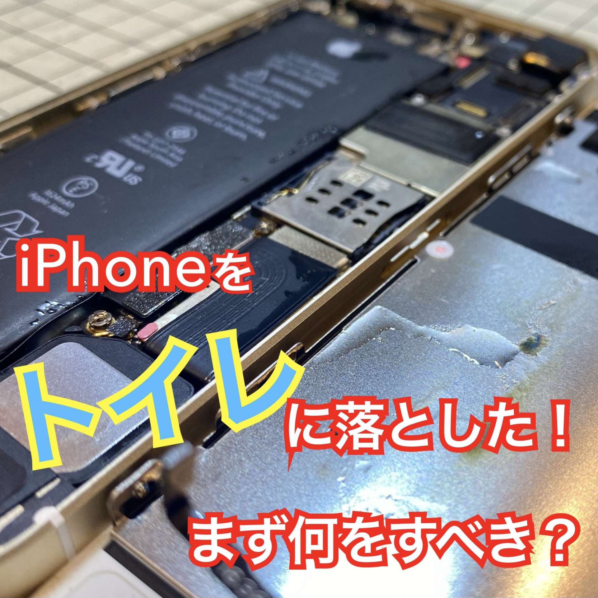 iPhoneがトイレに落ちたらどうする　富山市のiPhone修理iLABO